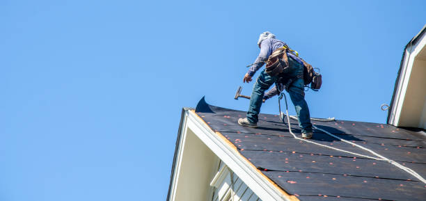 Best Storm Damage Roof Repair  in Hernando, MS